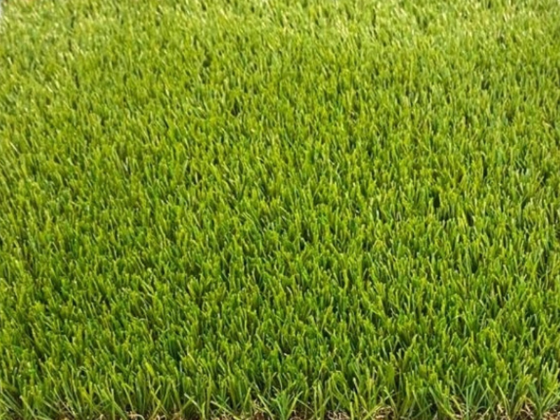 Artificial Grass Augusta 25mm