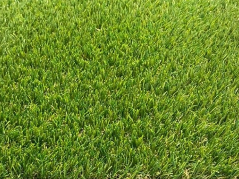 Artificial Grass Cruz 25mm
