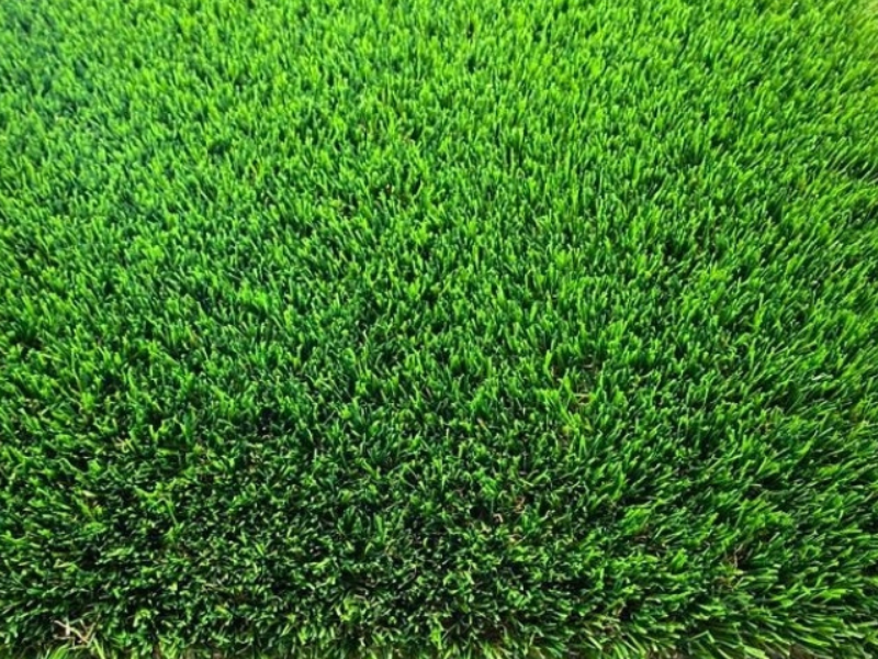 Artificial Grass Elite 35mm