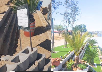 Artificial Grass Installation Cape Town1